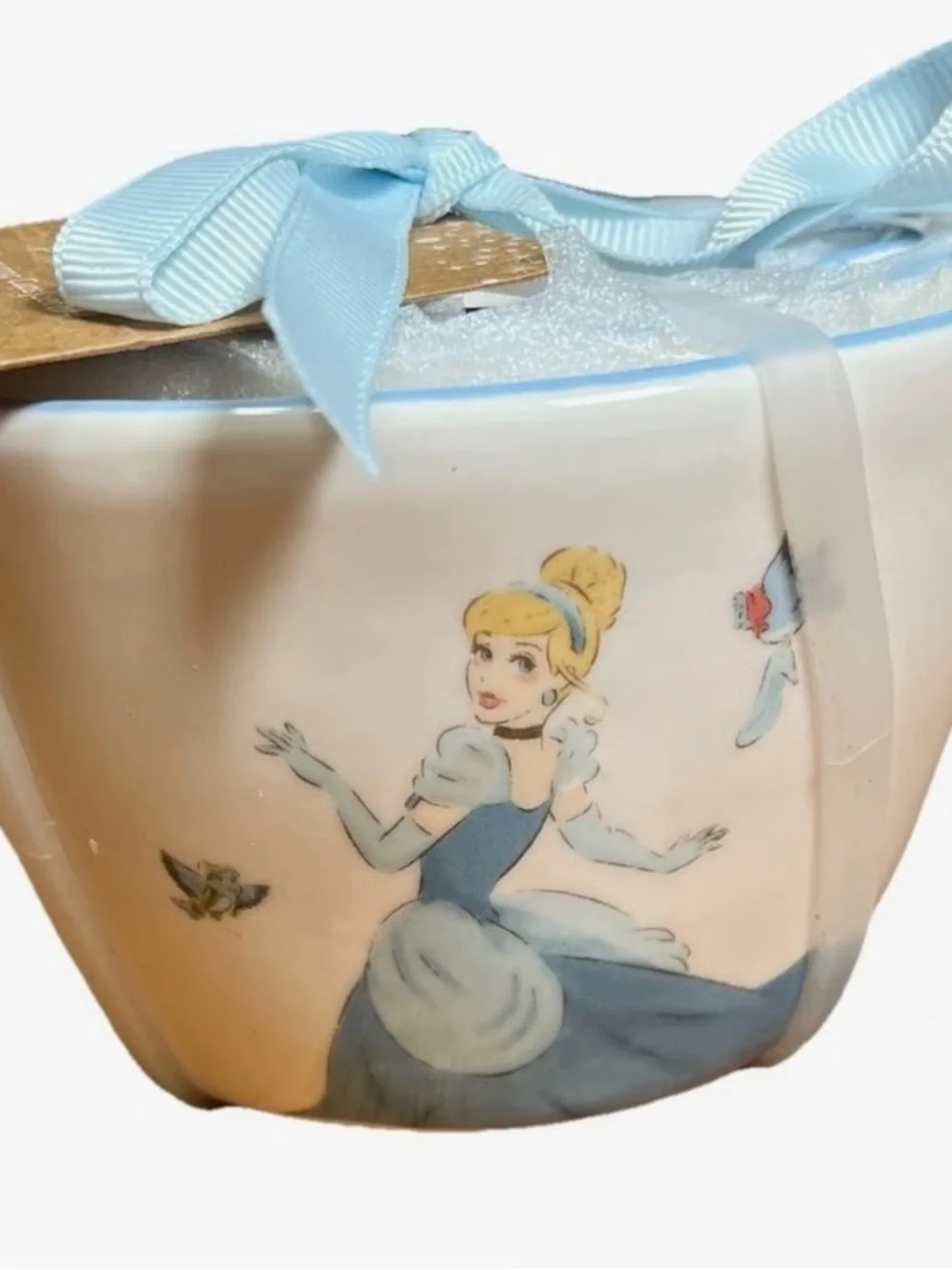 Blue Cinderella Print Women's Hand Bag
